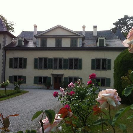 Chateau De Veigy Hotell Eksteriør bilde