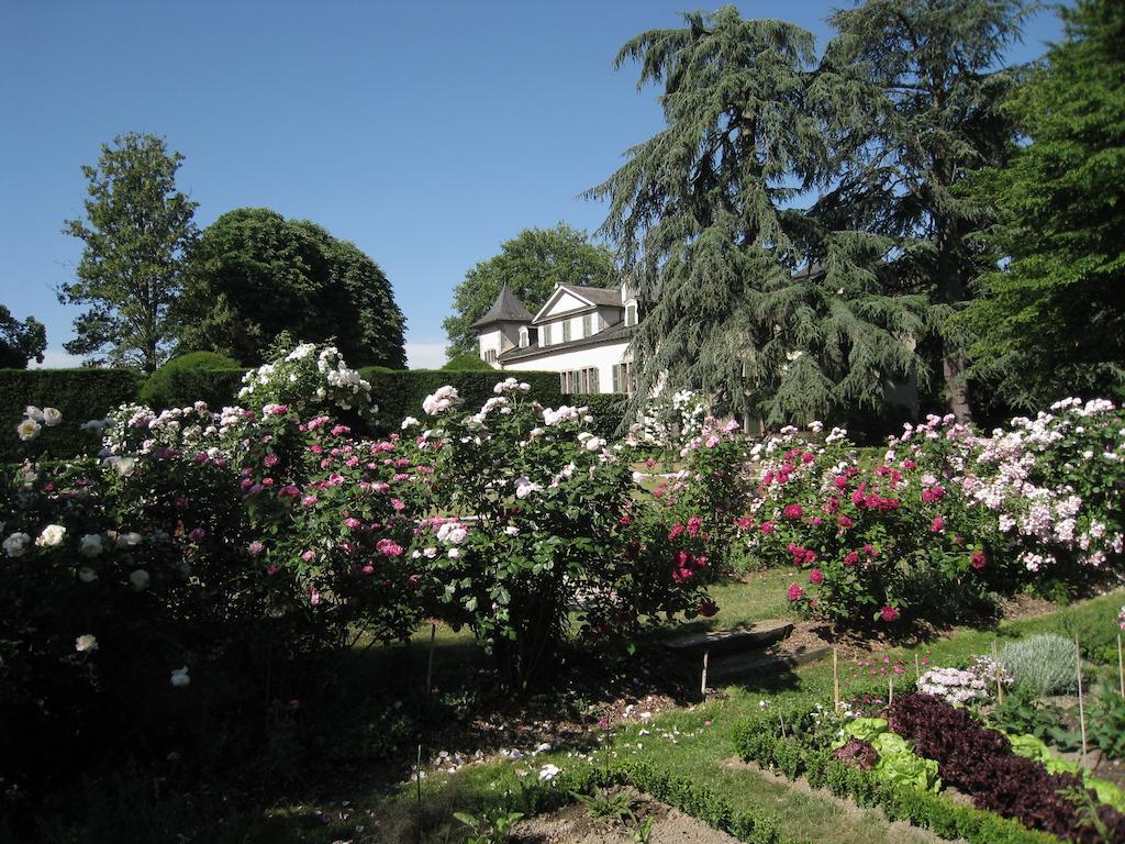 Chateau De Veigy Hotell Eksteriør bilde