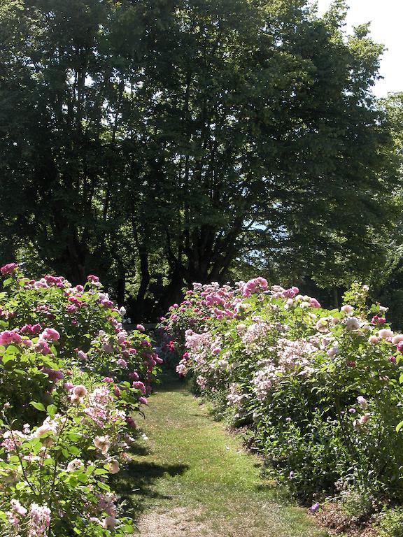 Chateau De Veigy Hotell Eksteriør bilde
