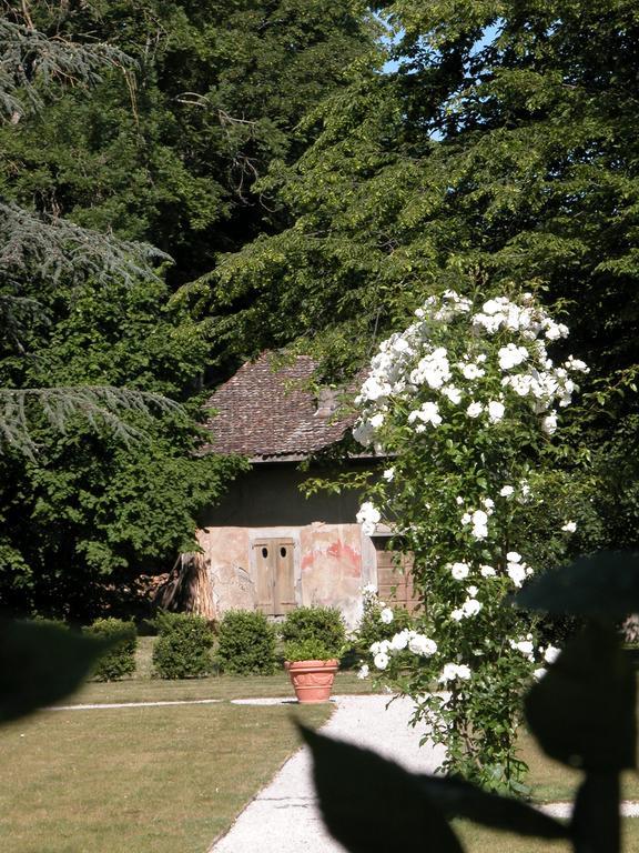 Chateau De Veigy Hotell Eksteriør bilde